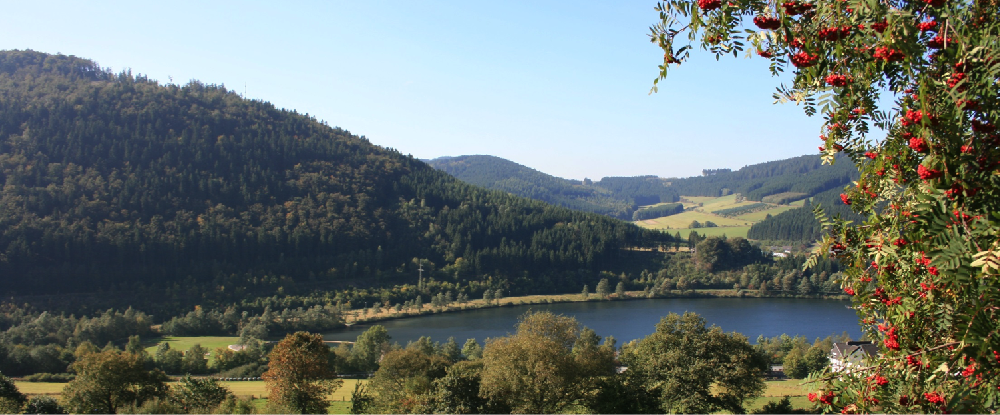 Generationsübergreifender Erlebnissee Niedersfeld Generationsübergreifender Erlebnissee Niedersfeld