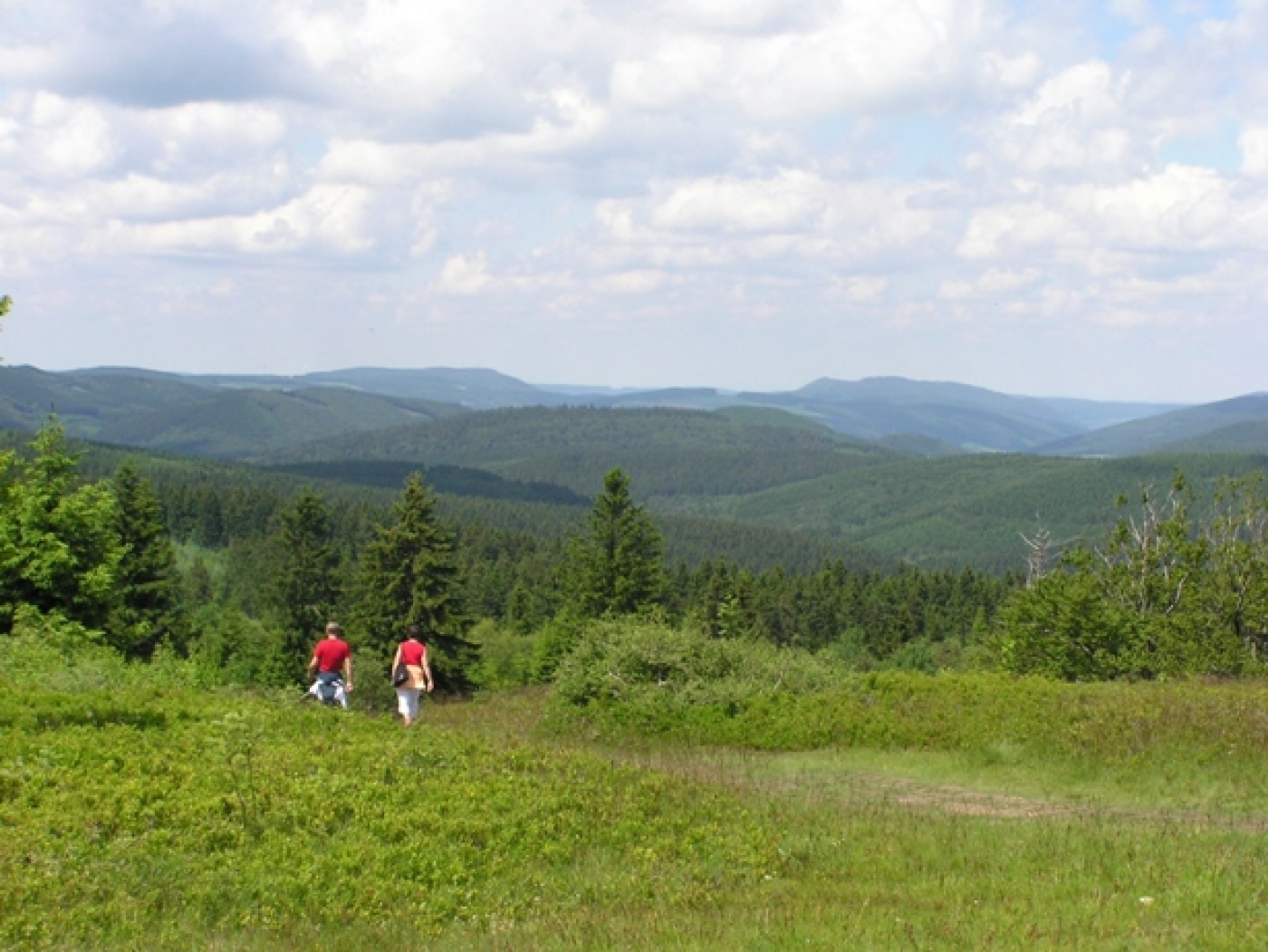 Wanderer im Rothaargebirge Wanderer im Rothaargebirge