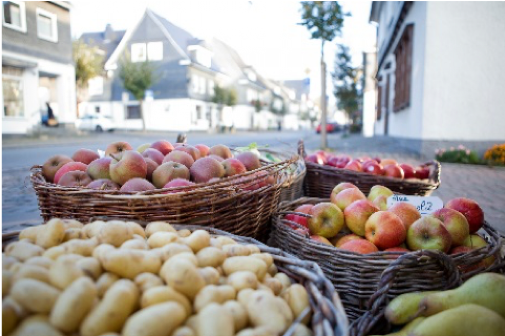 Kooperationsprojekt zur Regionalvermarktung Kooperationsprojekt zur Regionalvermarktung