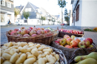 Kooperationsprojekt zur Regionalvermarktung 