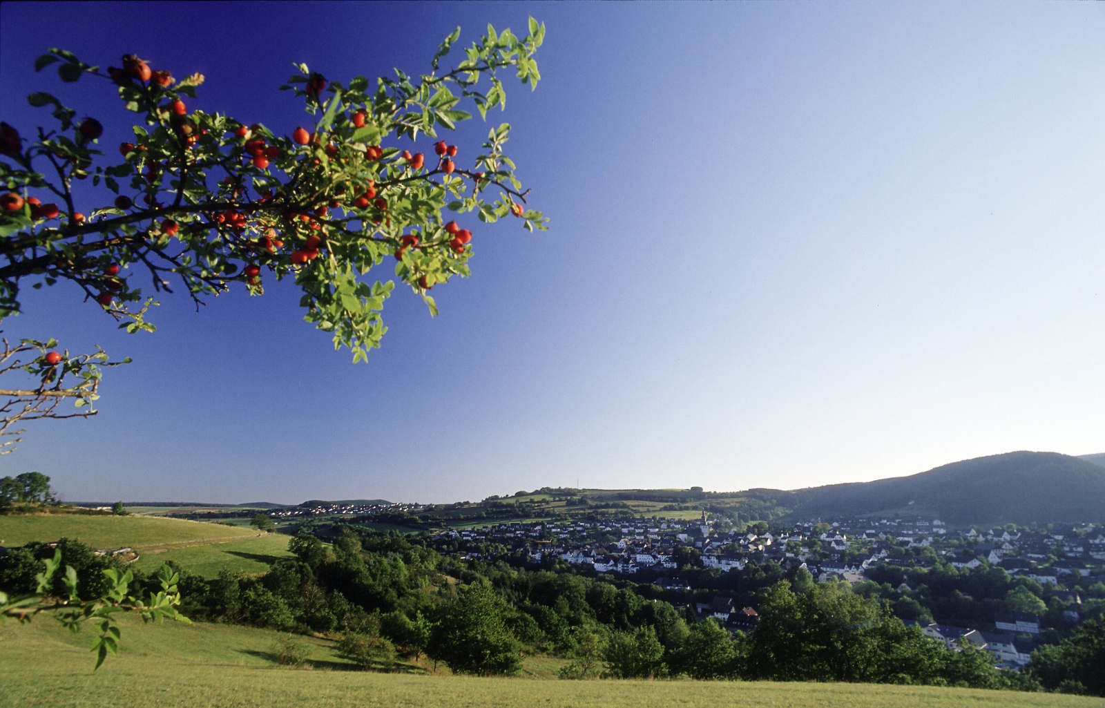 Blick auf Hallenberg