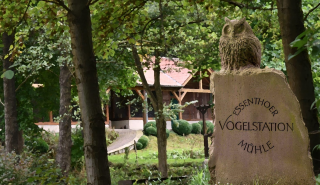 Entdeckerpfad der Vogelauffangstation Marsberg, Essentho 